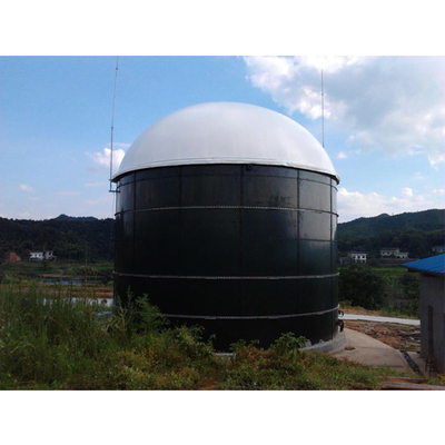 Thiết Kế Lò Phản Ứng Yếm Khí Trong Dự Án Nhà Máy Biogas Toàn Cầu