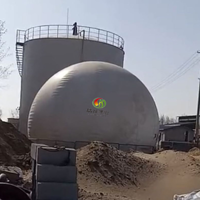 Giá đỡ khí sinh học màng đôi chống ăn mòn để lưu trữ khí