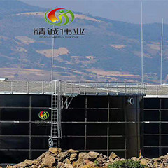 Lò phản ứng tầng sôi kỵ khí UASB Biogas từ phân gà