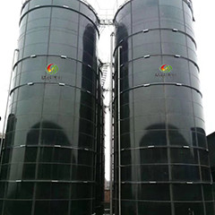 Lò phản ứng khí sinh học EGSB Dòng ngược lên Phân hủy bùn kỵ khí cho phân gà