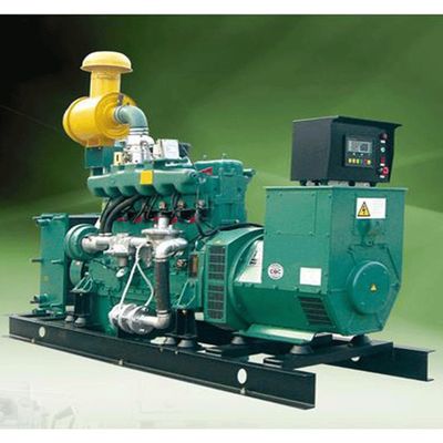 Máy phát điện chạy bằng động cơ sinh khối 100KW Máy phát điện chạy bằng khí sinh học cho gia đình