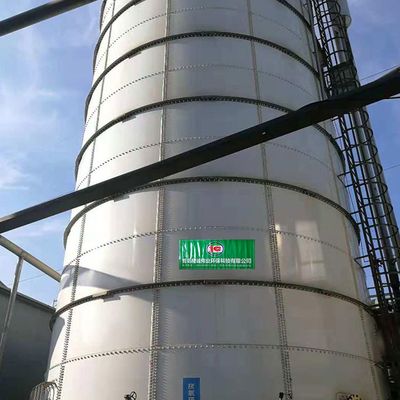 Bể phân hủy kỵ khí CSTR Bể phân hủy kỵ khí cho trang trại gia súc